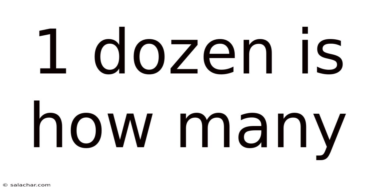 1 Dozen Is How Many