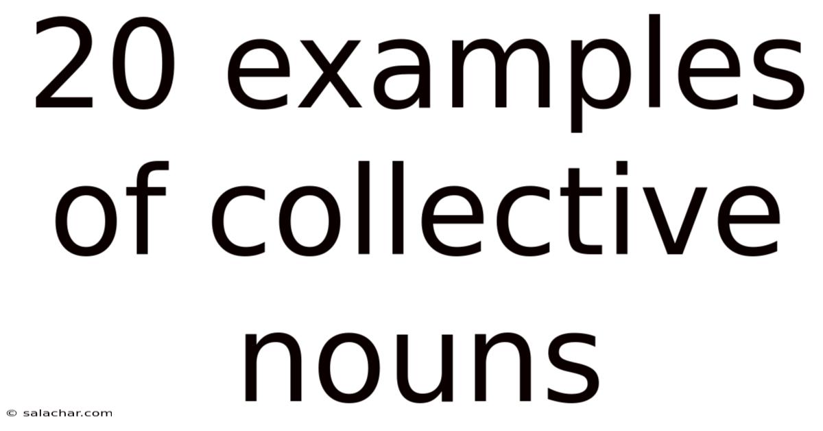 20 Examples Of Collective Nouns