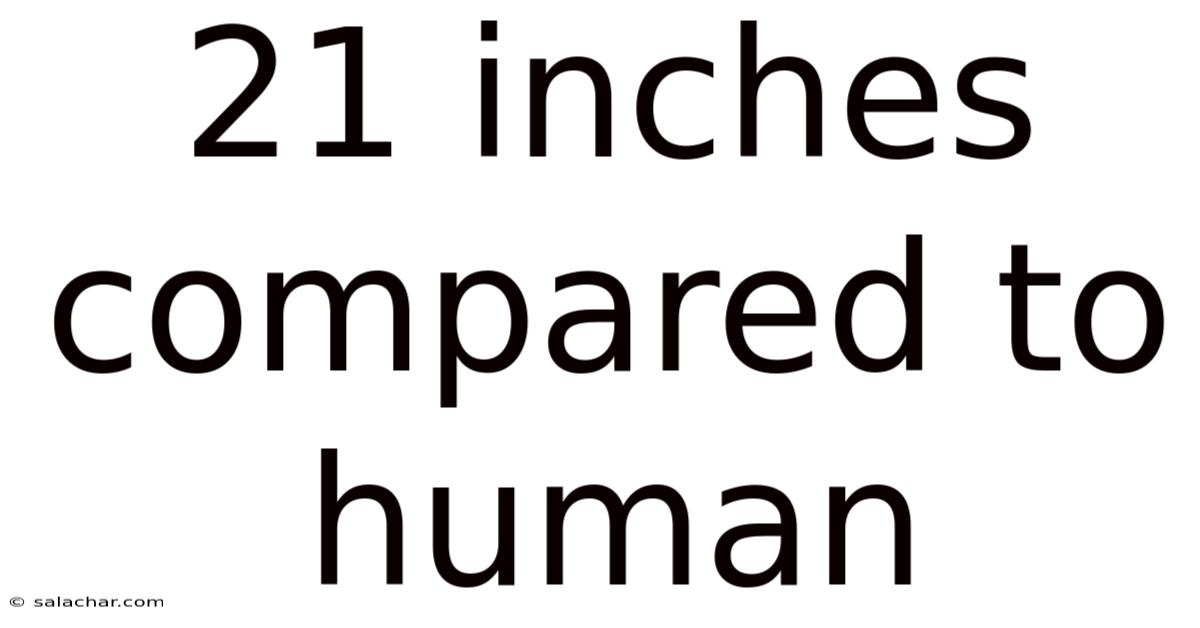 21 Inches Compared To Human
