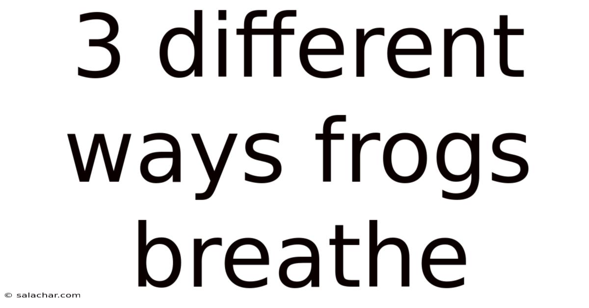 3 Different Ways Frogs Breathe