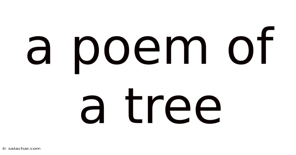A Poem Of A Tree