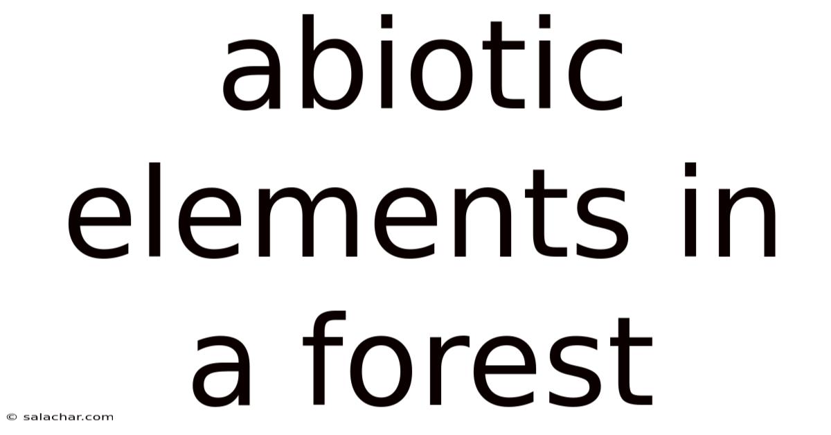 Abiotic Elements In A Forest
