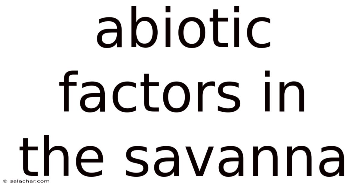 Abiotic Factors In The Savanna