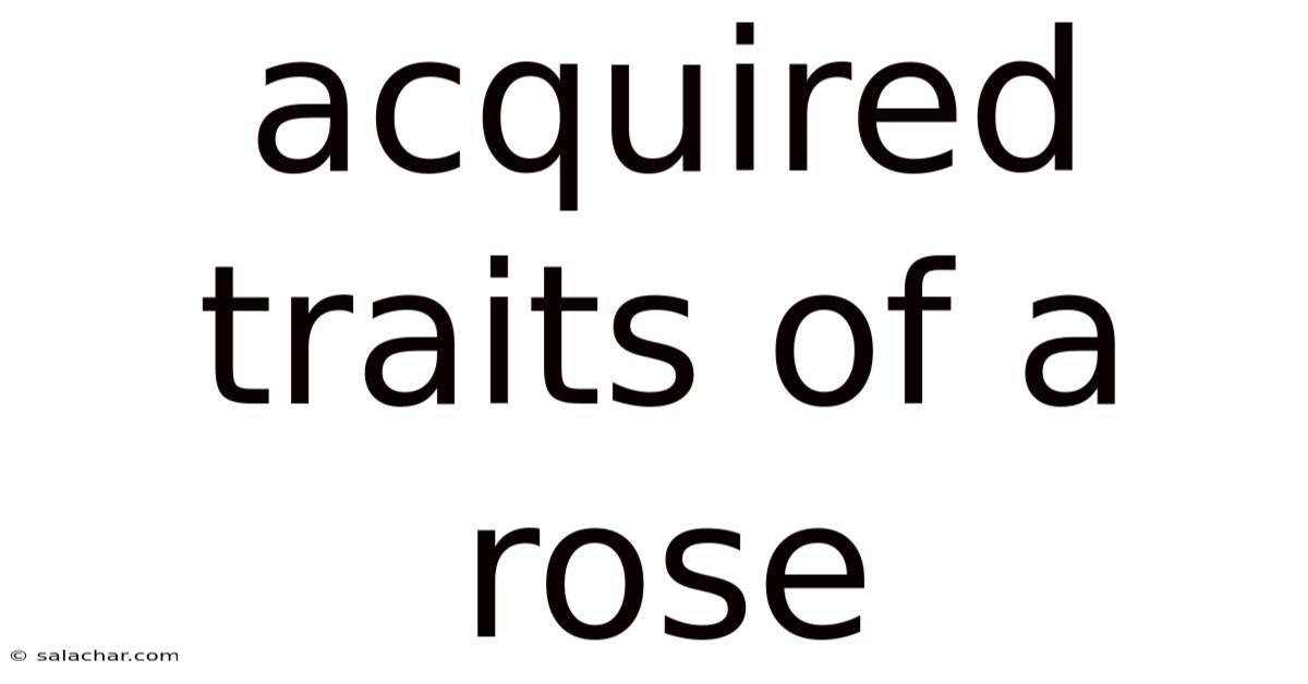 Acquired Traits Of A Rose