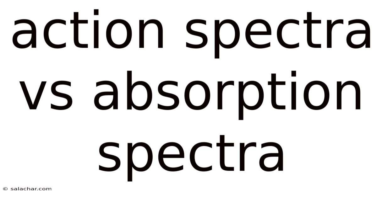 Action Spectra Vs Absorption Spectra