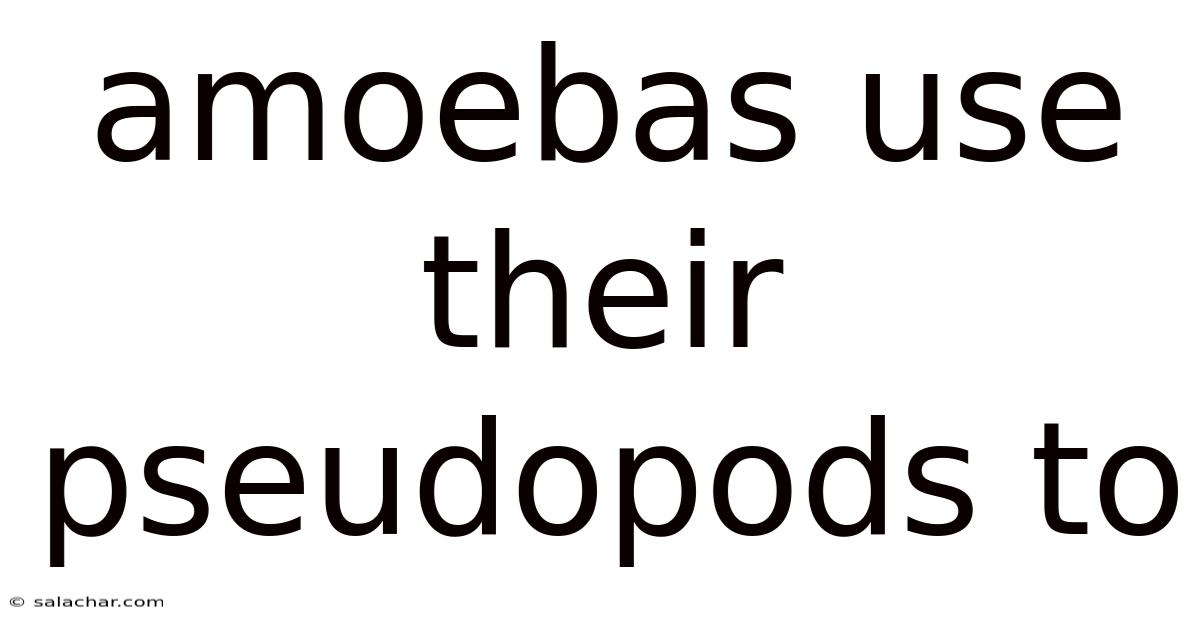 Amoebas Use Their Pseudopods To