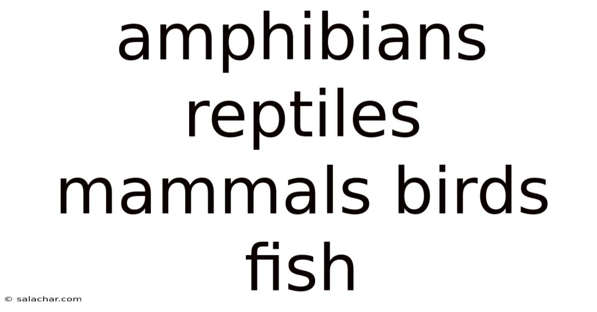 Amphibians Reptiles Mammals Birds Fish