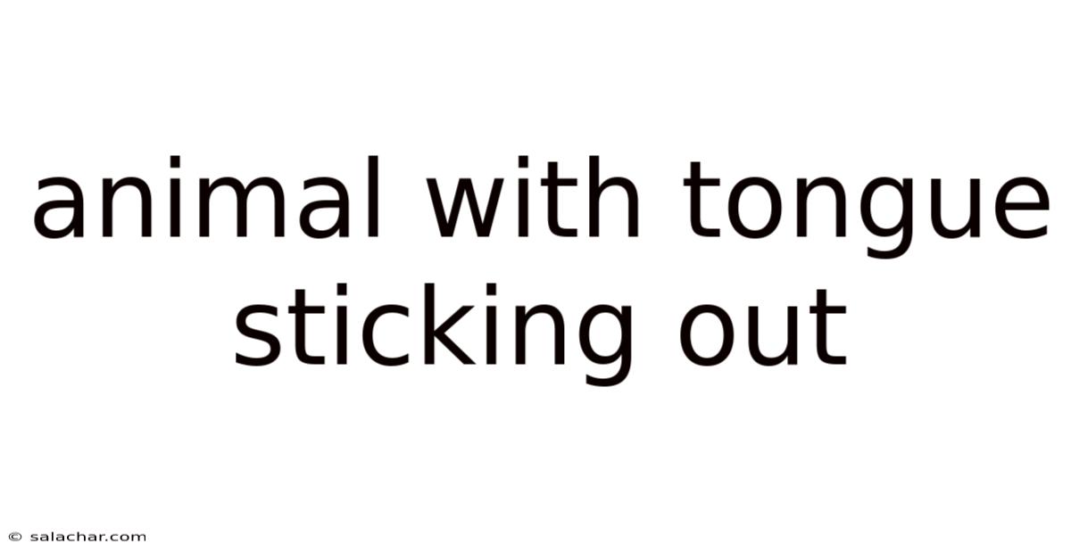 Animal With Tongue Sticking Out