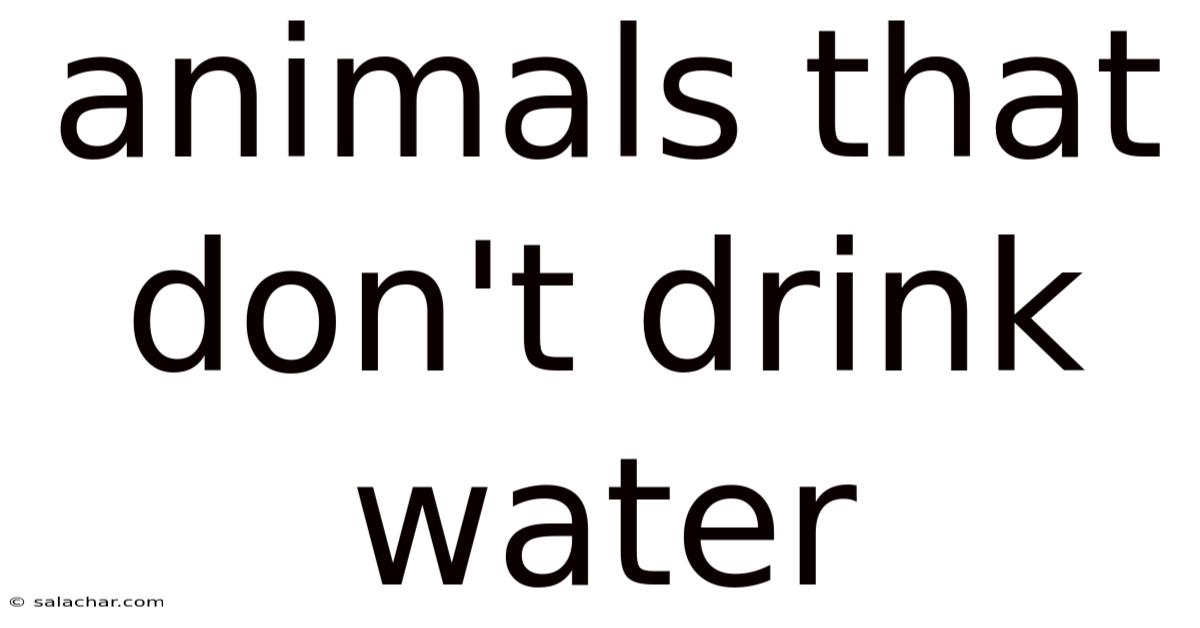 Animals That Don't Drink Water