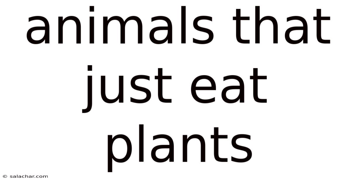 Animals That Just Eat Plants