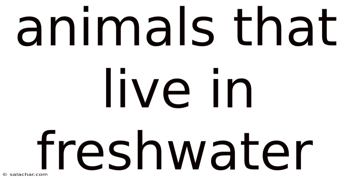 Animals That Live In Freshwater