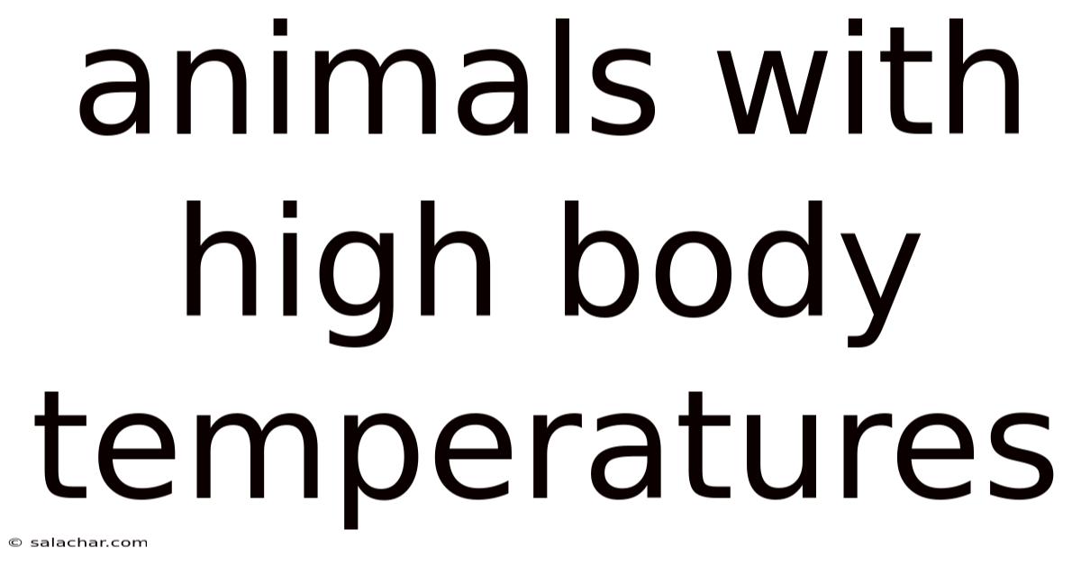 Animals With High Body Temperatures