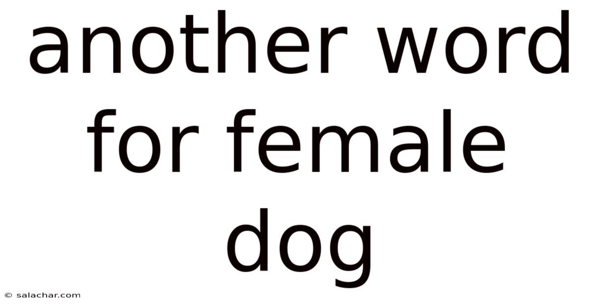Another Word For Female Dog