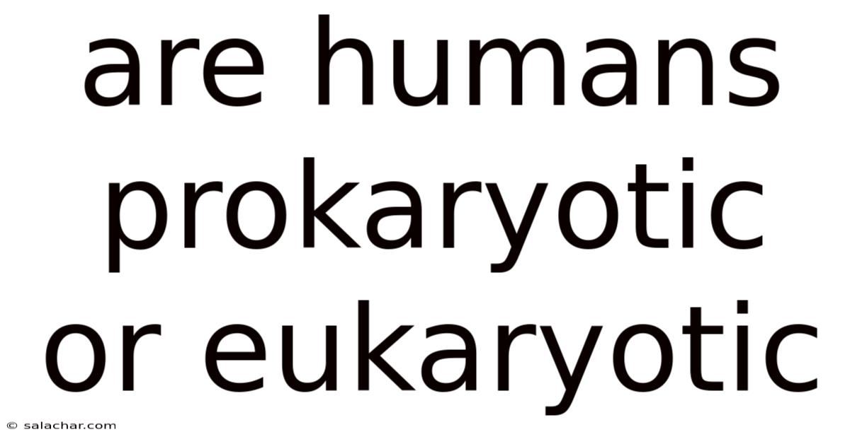 Are Humans Prokaryotic Or Eukaryotic