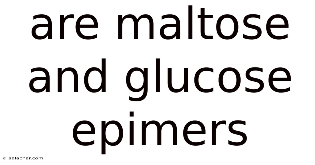 Are Maltose And Glucose Epimers