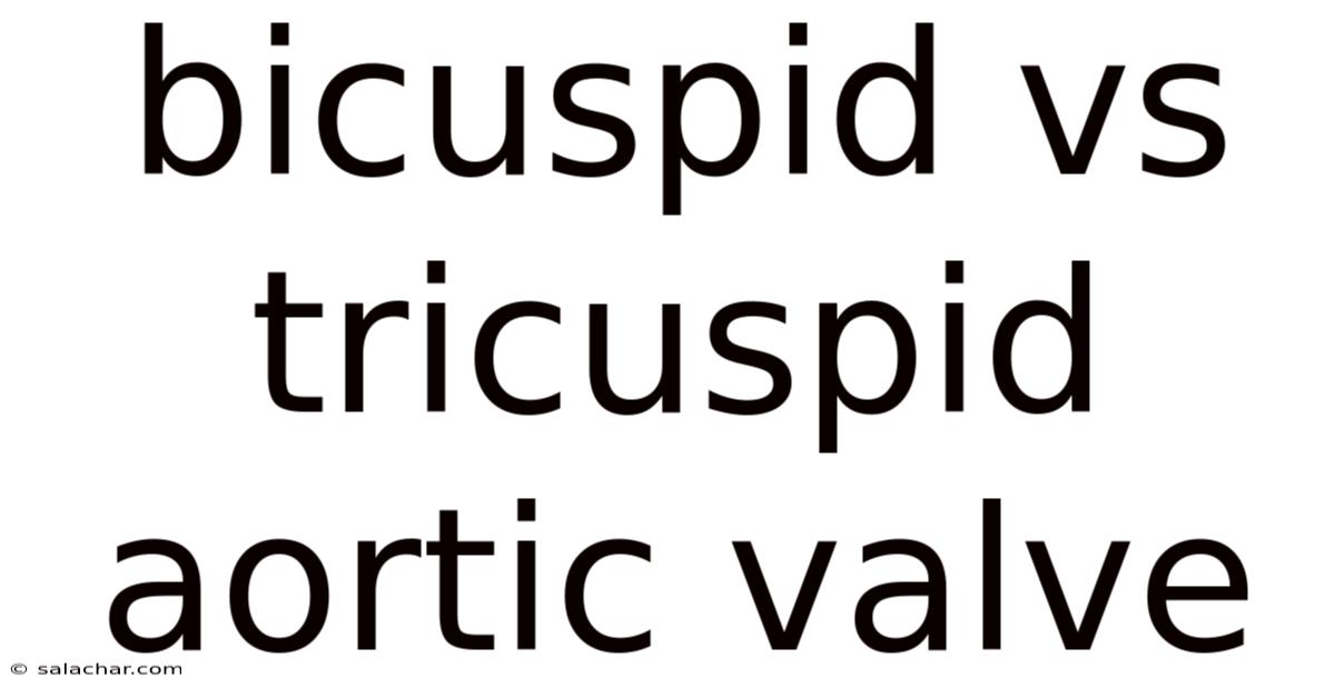 Bicuspid Vs Tricuspid Aortic Valve