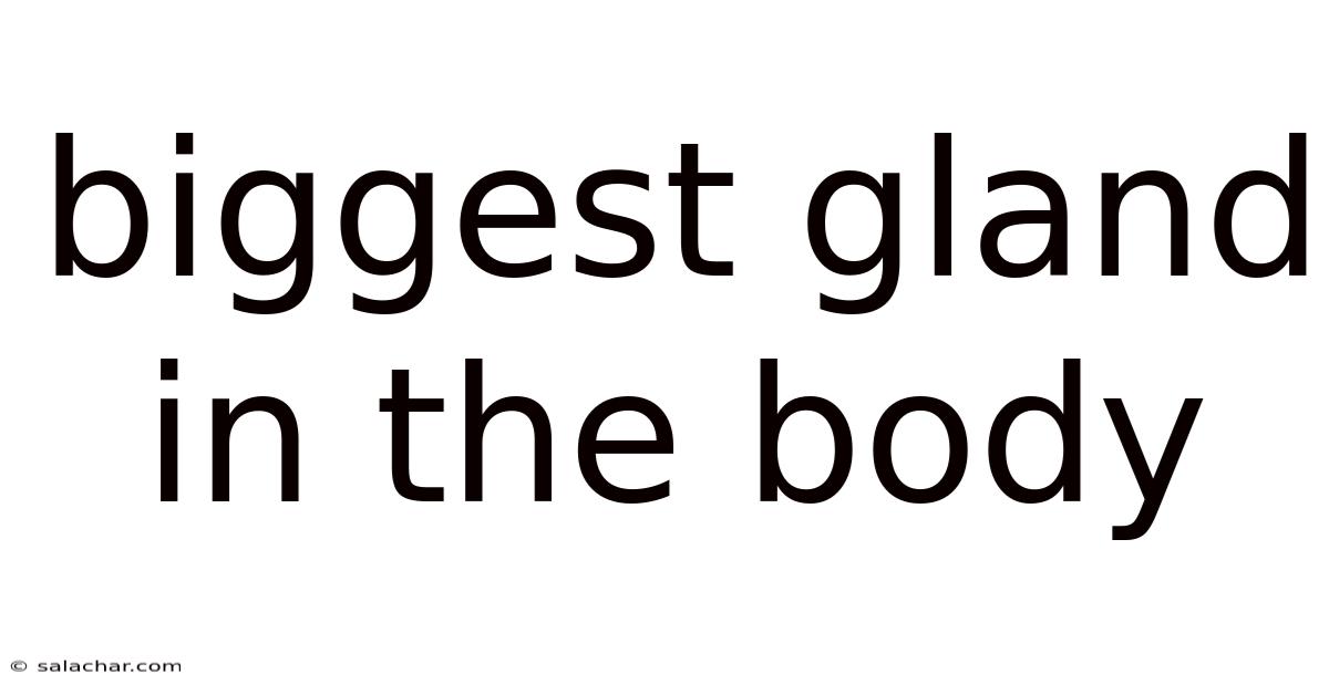 Biggest Gland In The Body