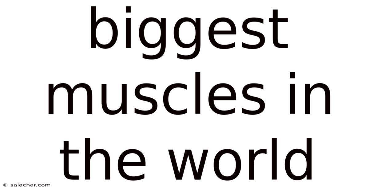 Biggest Muscles In The World