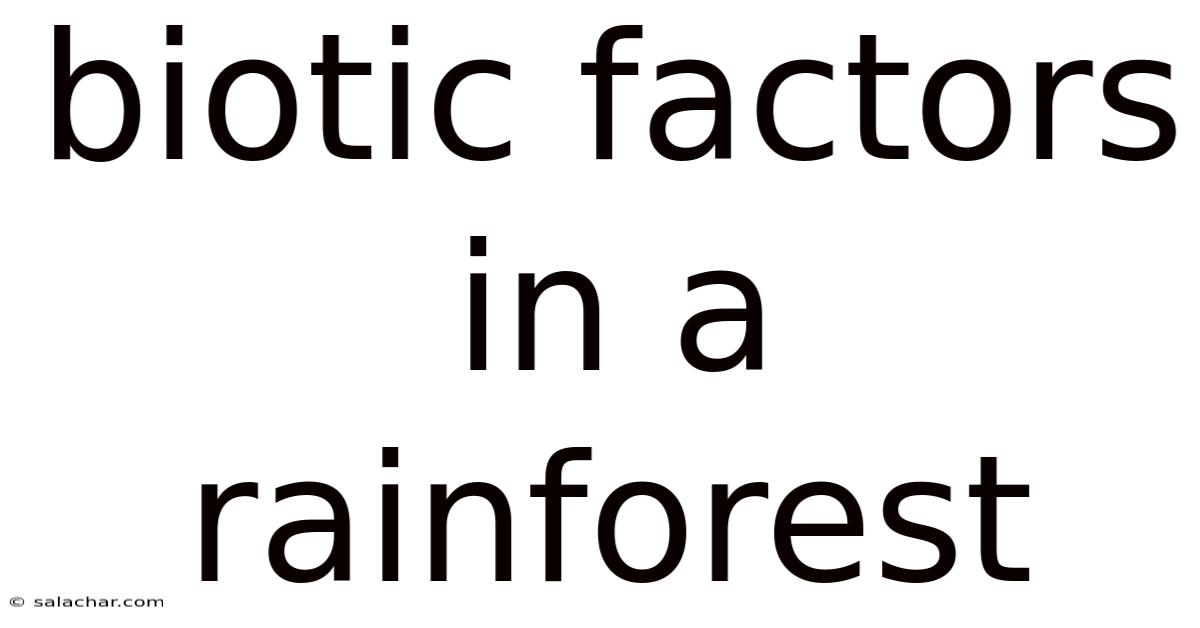 Biotic Factors In A Rainforest