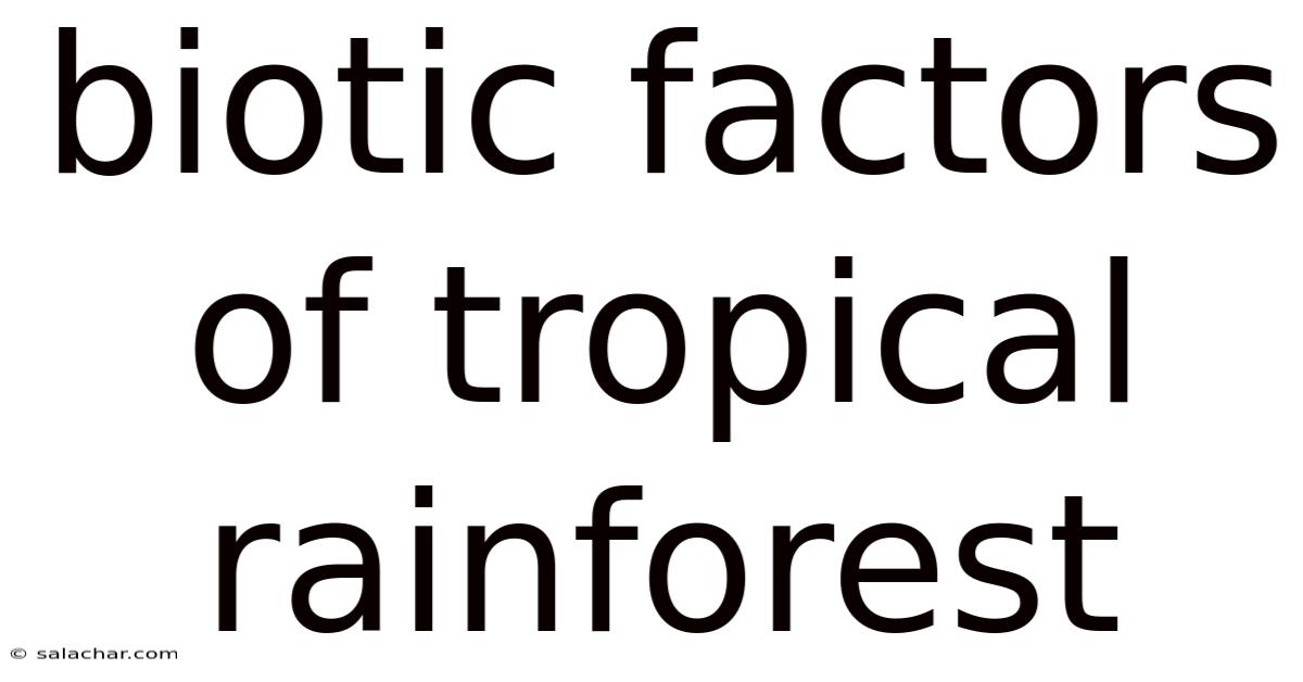 Biotic Factors Of Tropical Rainforest