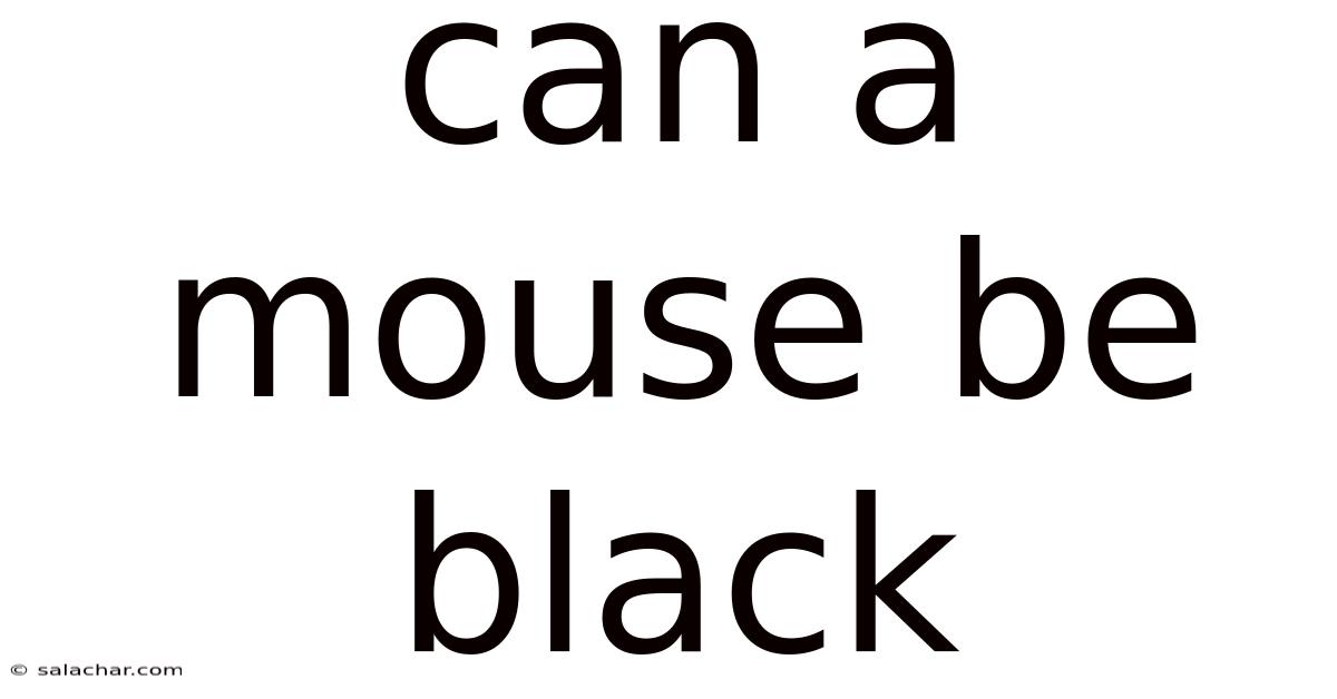 Can A Mouse Be Black
