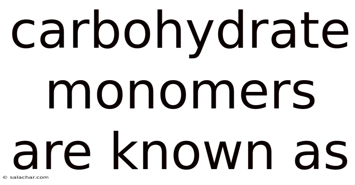 Carbohydrate Monomers Are Known As