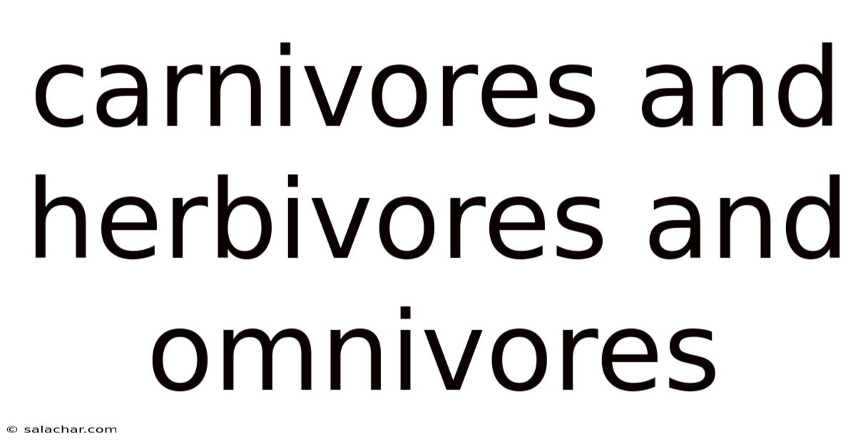 Carnivores And Herbivores And Omnivores