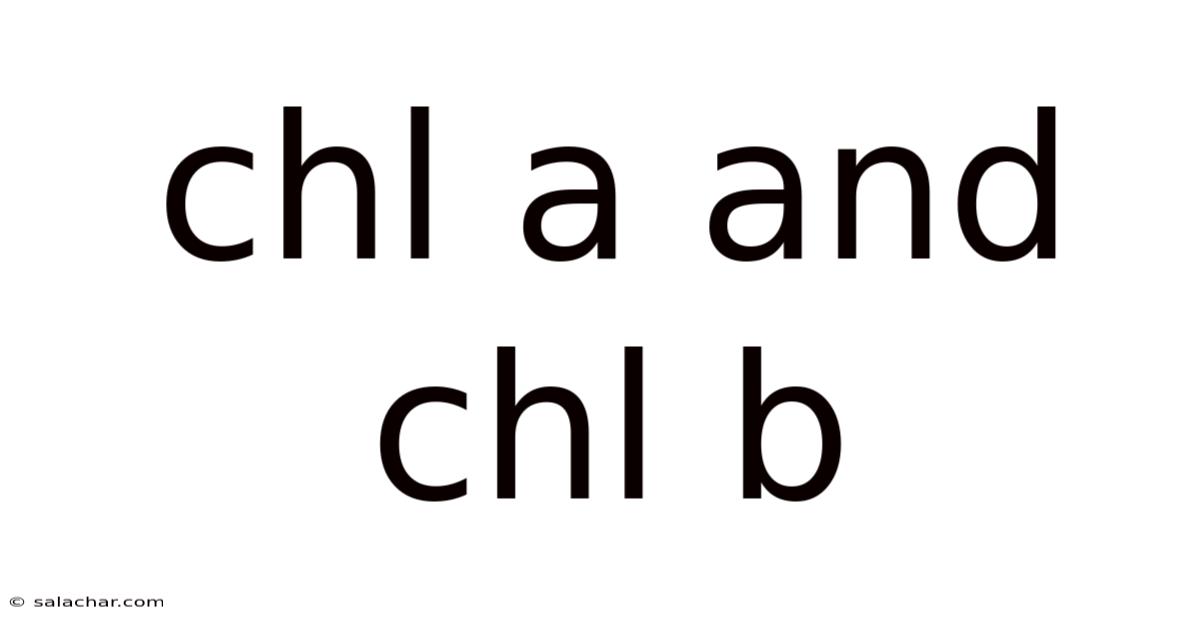 Chl A And Chl B