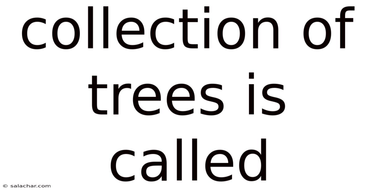 Collection Of Trees Is Called