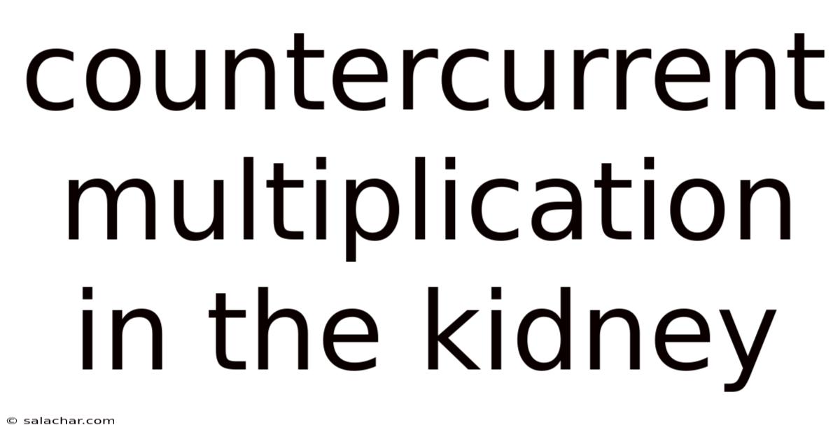 Countercurrent Multiplication In The Kidney