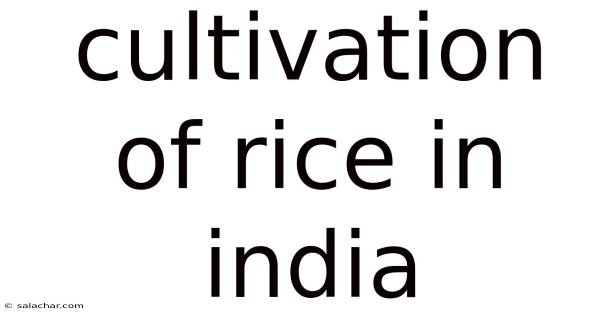 Cultivation Of Rice In India