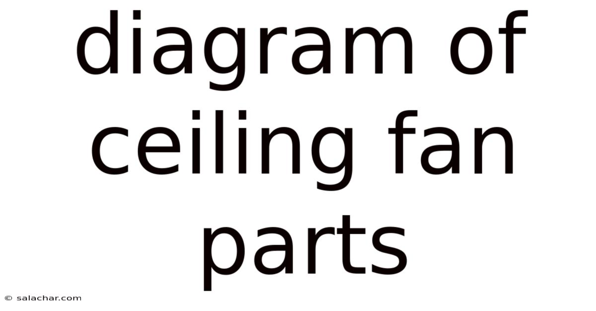 Diagram Of Ceiling Fan Parts