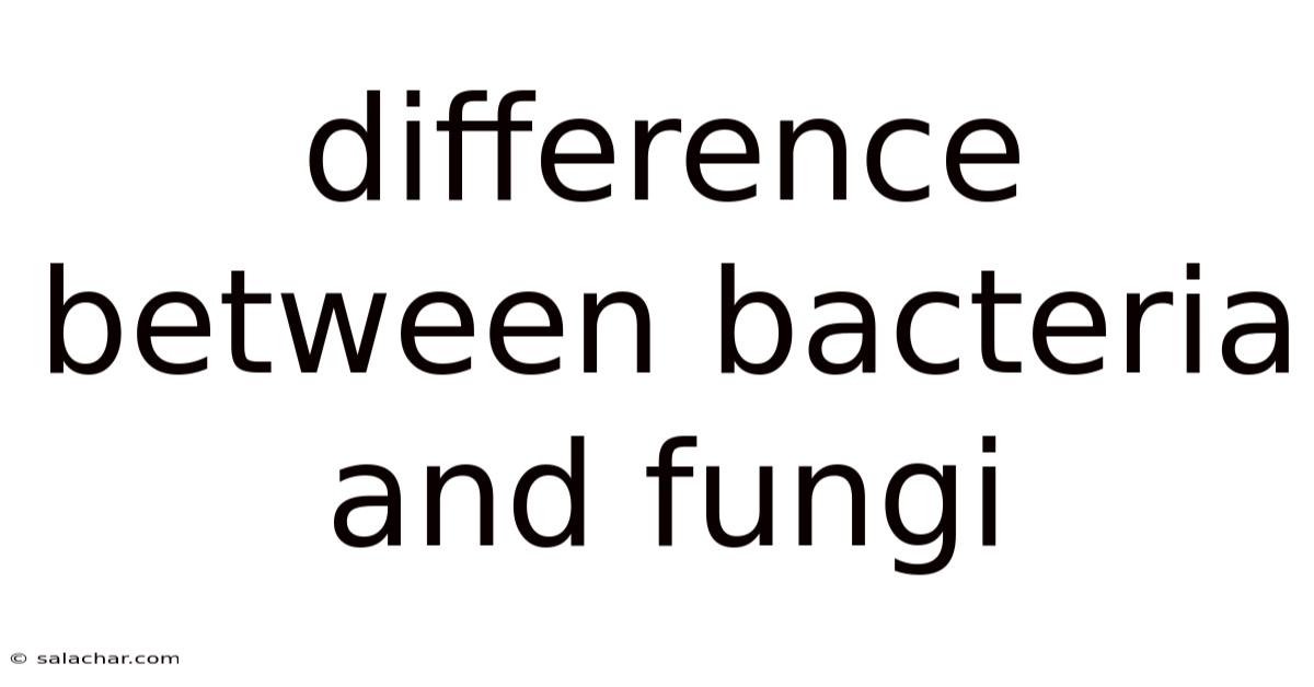 Difference Between Bacteria And Fungi