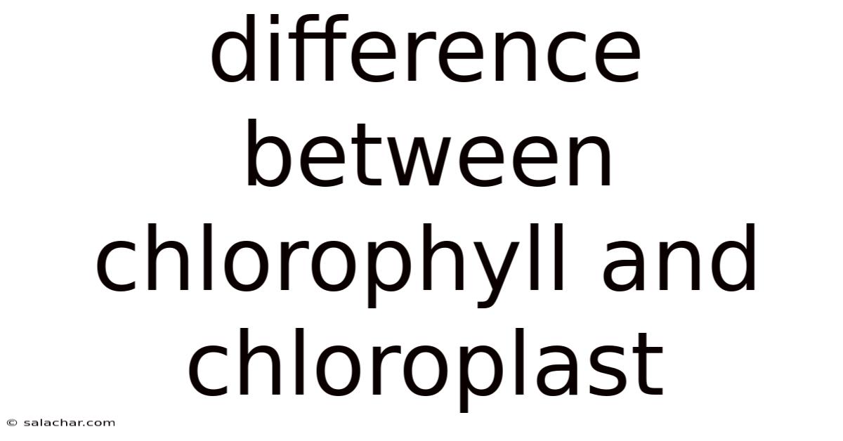 Difference Between Chlorophyll And Chloroplast