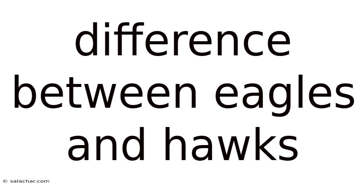 Difference Between Eagles And Hawks