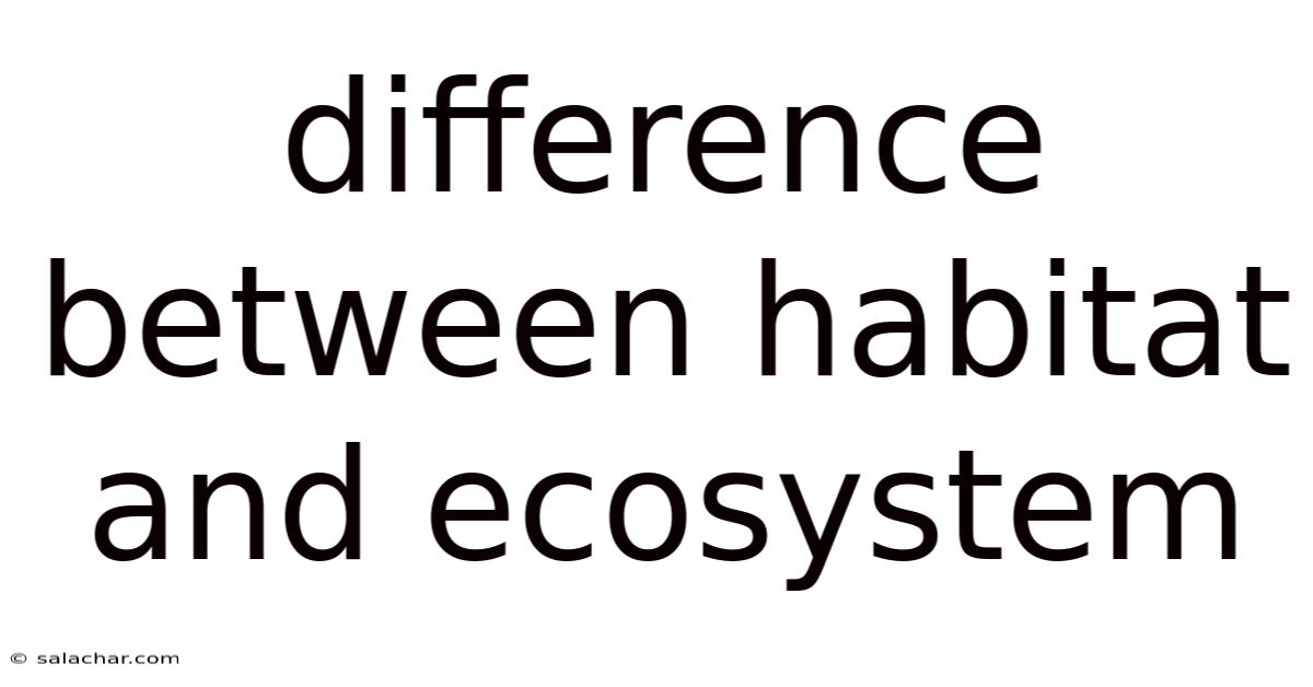 Difference Between Habitat And Ecosystem