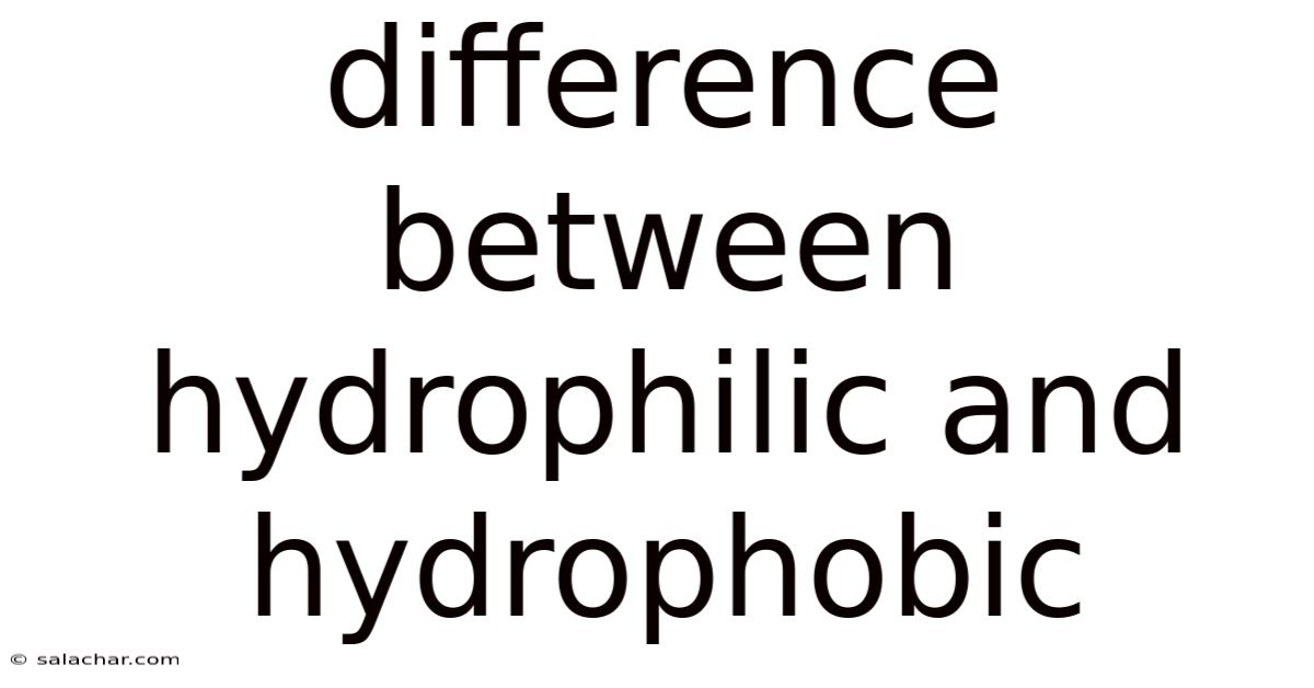 Difference Between Hydrophilic And Hydrophobic