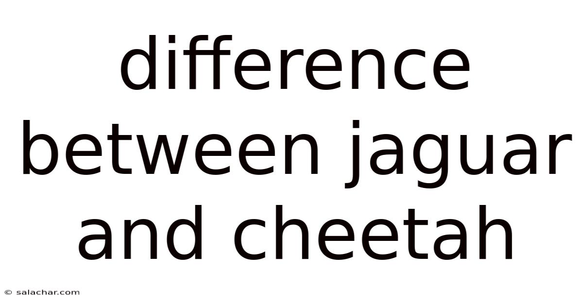 Difference Between Jaguar And Cheetah