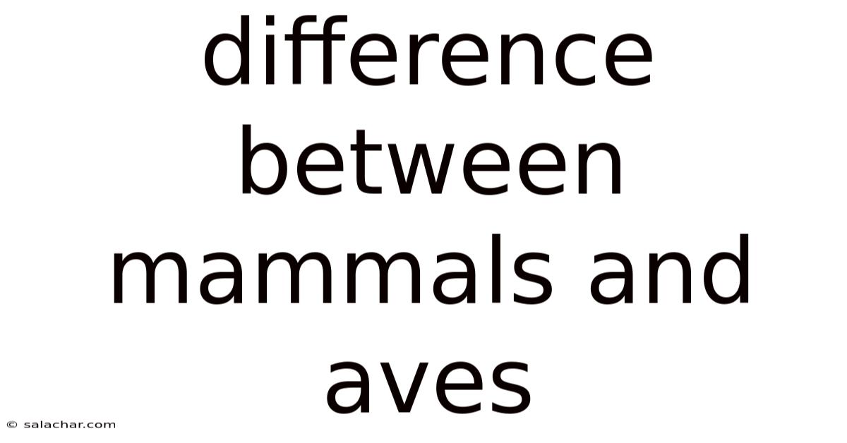Difference Between Mammals And Aves