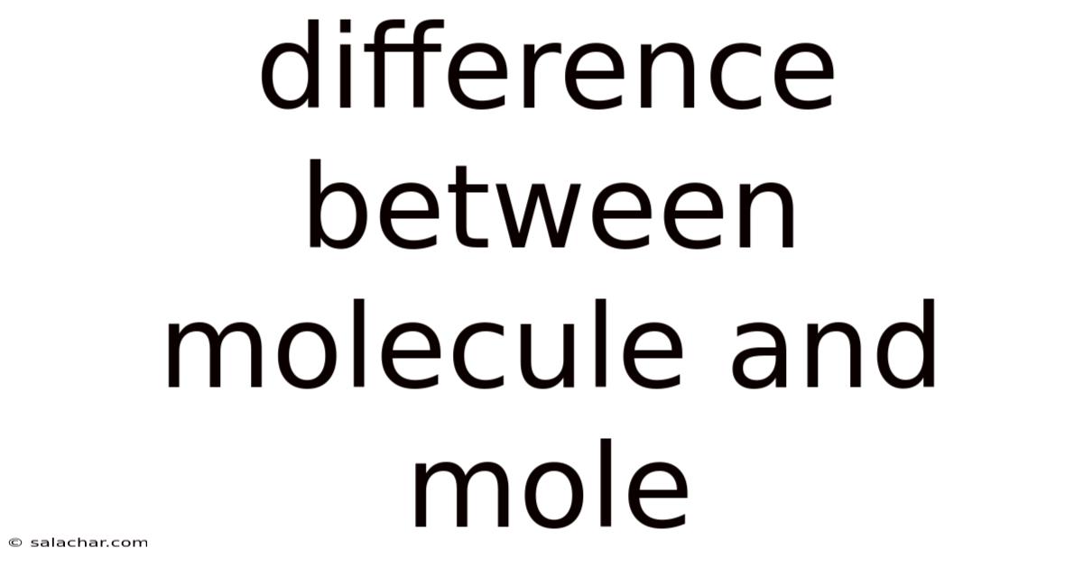 Difference Between Molecule And Mole