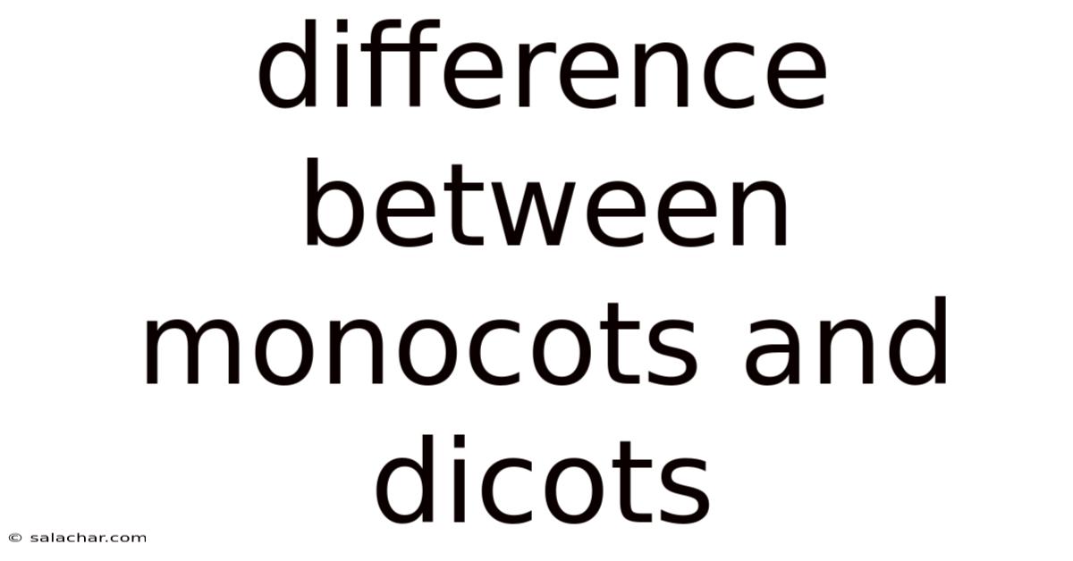 Difference Between Monocots And Dicots
