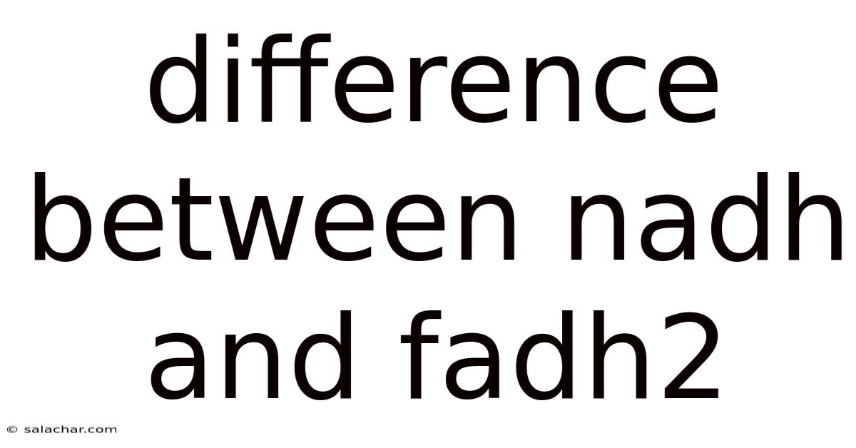 Difference Between Nadh And Fadh2