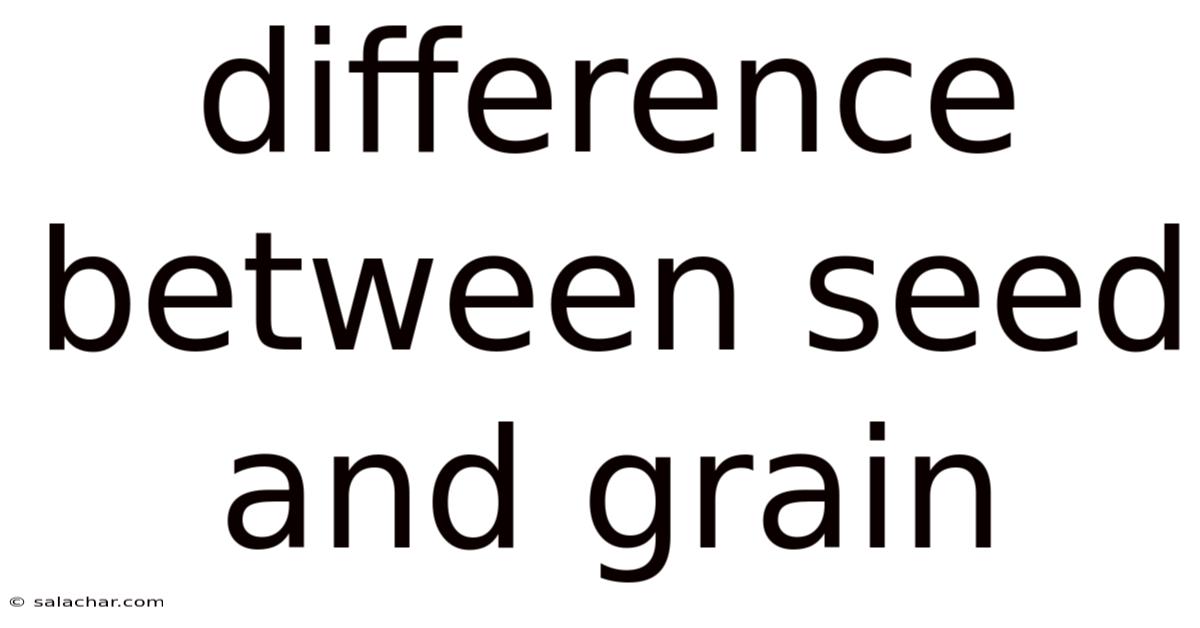 Difference Between Seed And Grain