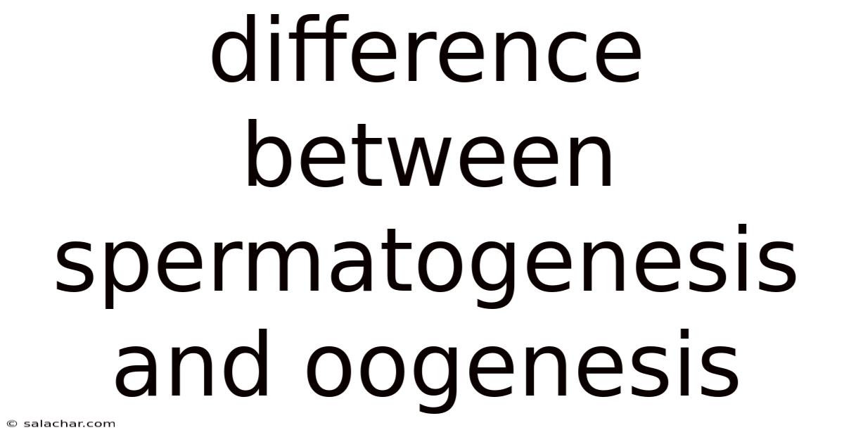 Difference Between Spermatogenesis And Oogenesis