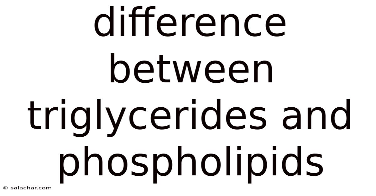 Difference Between Triglycerides And Phospholipids