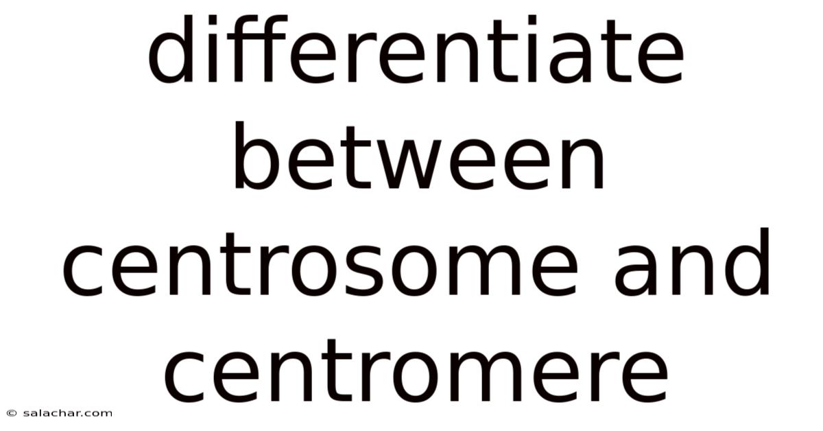 Differentiate Between Centrosome And Centromere