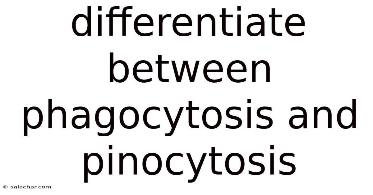 Differentiate Between Phagocytosis And Pinocytosis