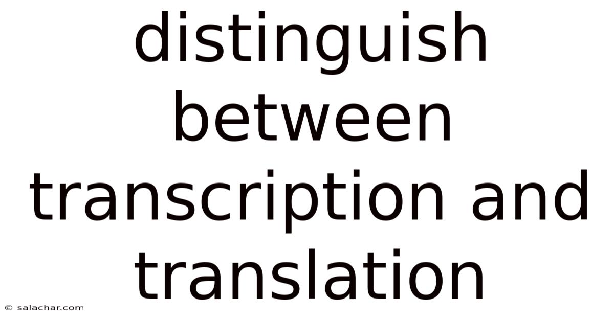 Distinguish Between Transcription And Translation