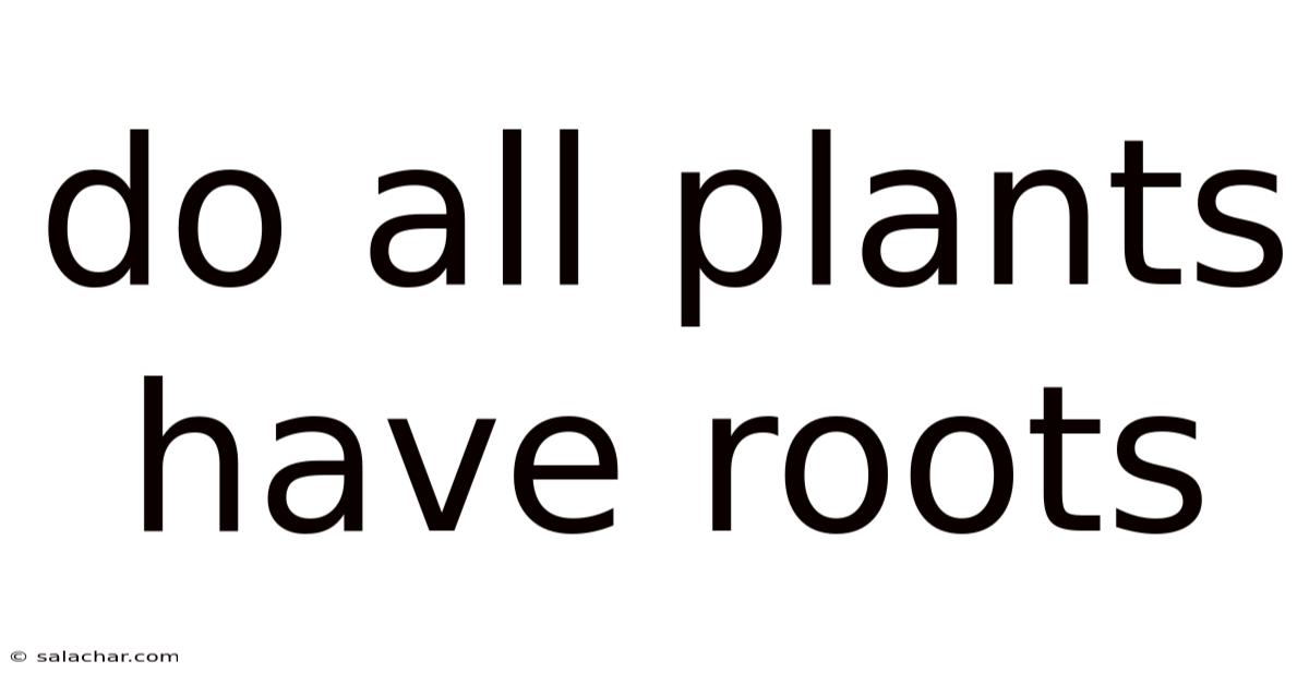 Do All Plants Have Roots