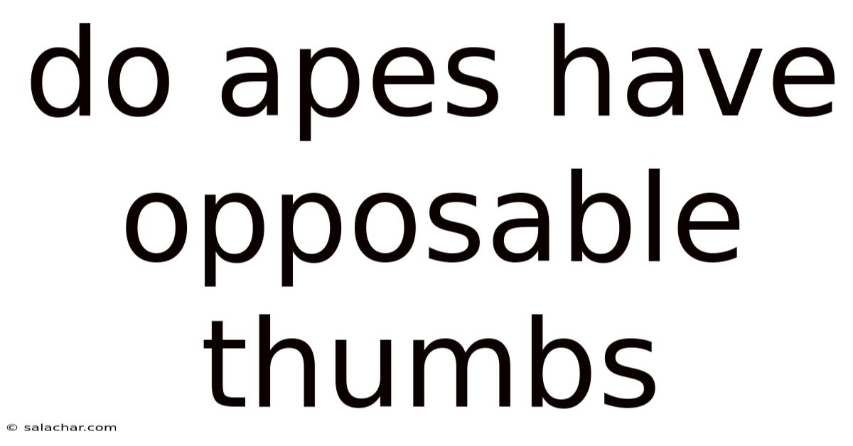 Do Apes Have Opposable Thumbs